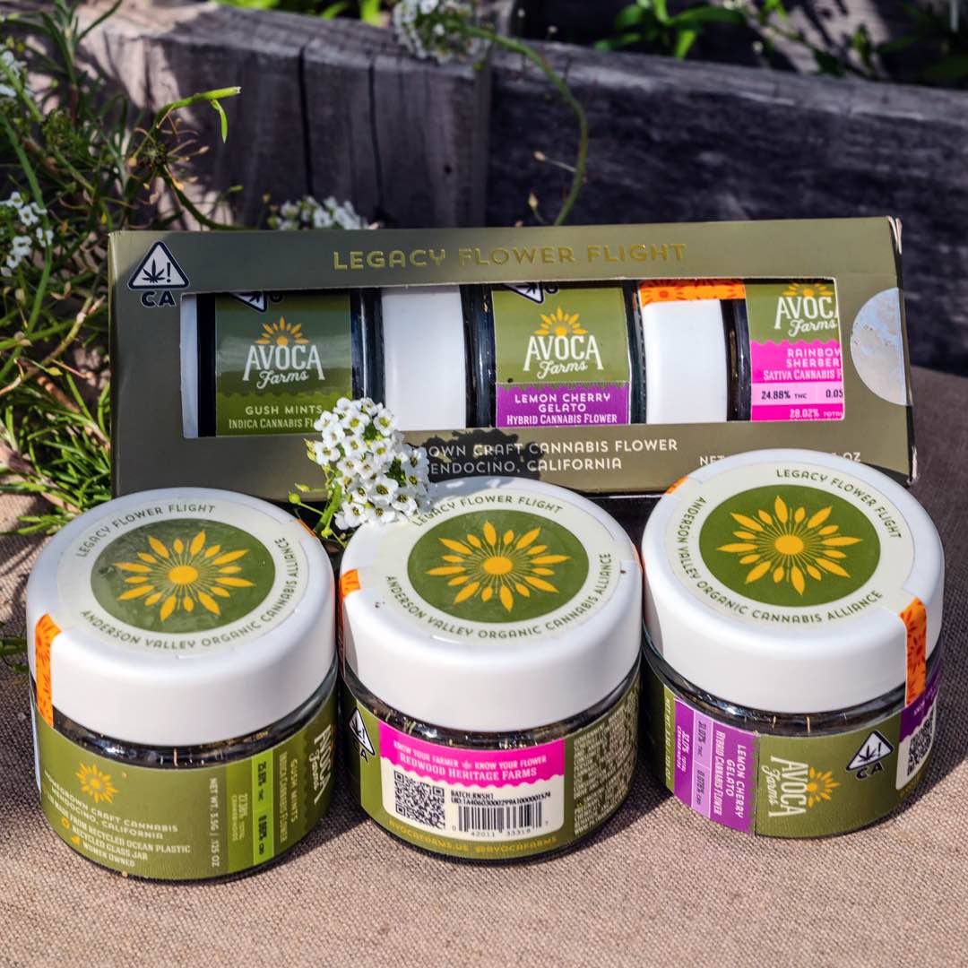 AVOCA Club Legacy Flower Flight AVOCA